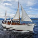 Scenic Cruise & Guided Walk on Historic Motor Yacht Lake Te Anau - Analyzing the Value