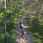 Scenic eBike of the Noosa Biosphere Trail Network - Practical Details and Considerations