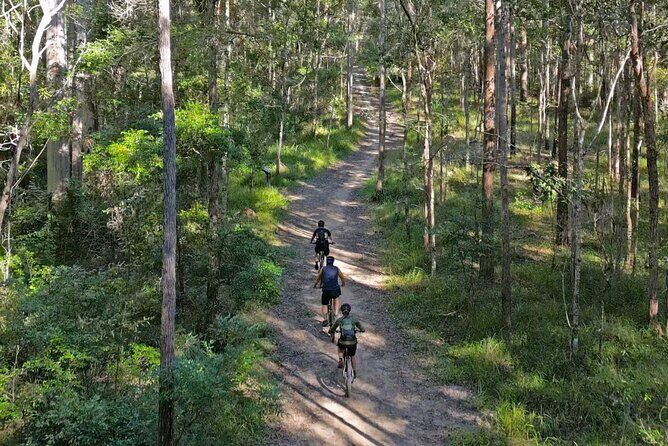 Scenic eBike of the Noosa Biosphere Trail Network - Practical Details and Considerations