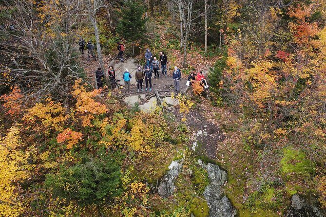 Scenic Hiking Adventure at Mont-Orford National Park - Authentic Reviews: What Travelers Say