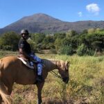Scenic Horseback Ride, Wine Tasting & Lunch on Mt. Vesuvius - Who Will Love This Tour?