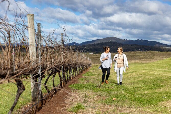 Scenic Hunter Valley Tour with Wine and Cheese Tastings - The Full Experience: What to Expect from this Tour