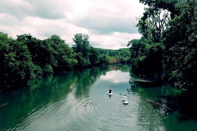 Scenic Paddleboarding Adventure: Nové Mlýny to Lednice - FAQ