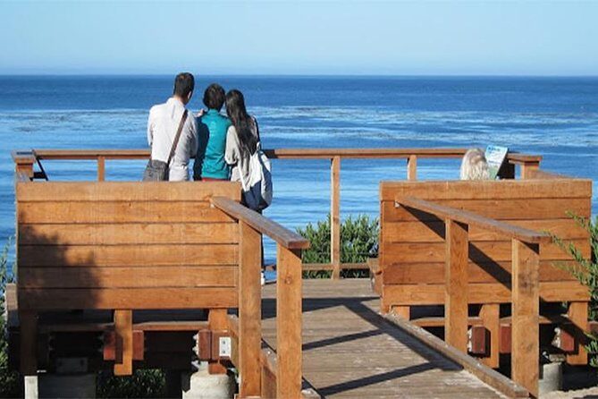 Scenic Path Carmel-by-the-Sea: A Self-Guided Audio Tour - Why This Tour Works Well