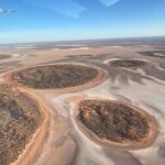 Scenic Plane Flight: Lizard Safari - Who Will Appreciate This Tour Most?