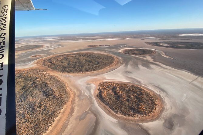 Scenic Plane Flight: Lizard Safari - Who Will Appreciate This Tour Most?