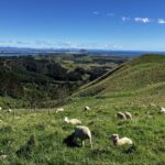 Scenic Short Hike Tour - Papamoa Hills and McLaren Falls - Who Should Consider This Tour?