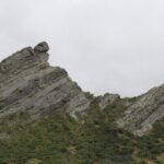 Scenic South Wairarapa Full Day Tour from Wellington - A Deep Dive into the South Wairarapa Tour