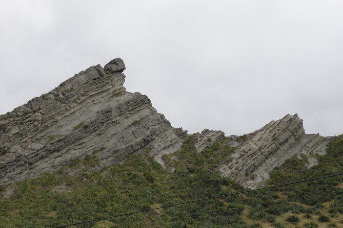 Scenic South Wairarapa Full Day Tour from Wellington - A Deep Dive into the South Wairarapa Tour