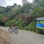 Scenic Spooners Tunnel Adventure in Nelson Tasman - Key Points