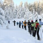 Scenic Sunset Snowshoe Tour - Who Should Consider This Tour?