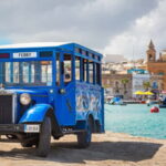 Scenic Tour by Vintage Bus to Buskett Garden & Dingli Cliffs - A Deep Dive into the Malta Vintage Bus Tour
