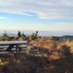 Scenic tour to Steinsfjellet, locals at Kringsjå & Rising Tide - Why This Tour Offers Great Value