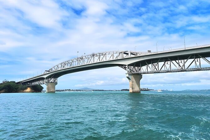 Scenic Wine and Cheese Auckland Harbour Cruise - Why You Should Consider This Experience