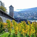 Schaffhausen: Express Walk with a Local in 60 minutes - Discovering Schaffhausen in 60 Minutes