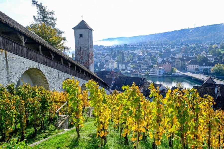 Schaffhausen: Express Walk with a Local in 60 minutes - Discovering Schaffhausen in 60 Minutes