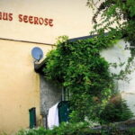 Schwabing: Insider Tour! Neighborhood, revolt, secrets in Munich's cult district - A Rich and Layered Journey Through Schwabing