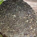 Scone Palace, Nature, Pitlochry, Whisky Experience from Edinburgh - Final Thoughts: Is This Tour Right for You?