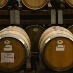 Scoprire la Vera Tintilia del Molise, Autentico ed Eccellenso - Final Thoughts