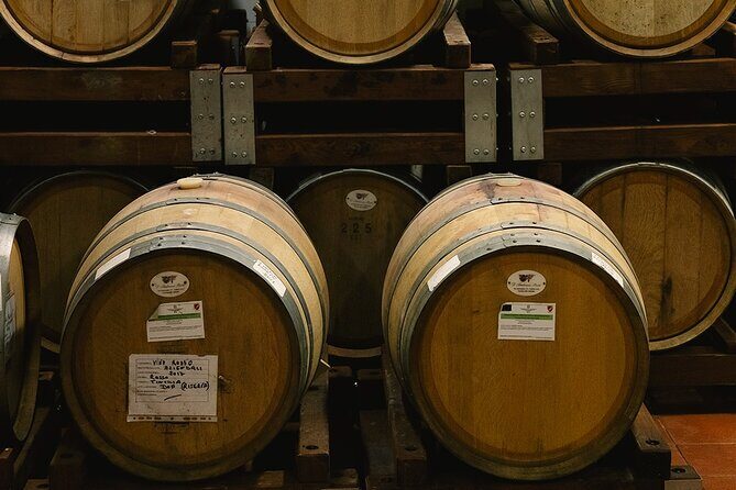 Scoprire la Vera Tintilia del Molise, Autentico ed Eccellenso - Final Thoughts