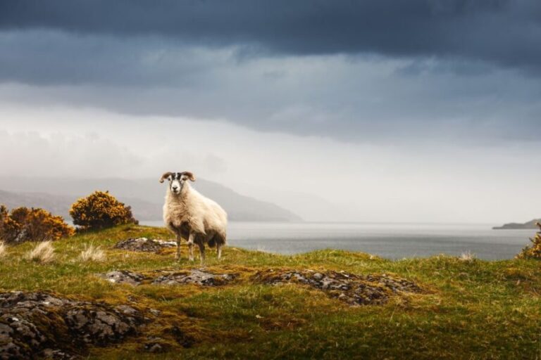 Scotland: West Highlands, Mull and Iona 4-Day Tour - What Makes This Tour Valuable?
