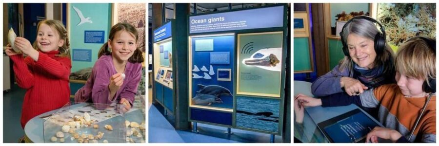 Scottish Seabird Centre: Discovery Experience Entry Ticket