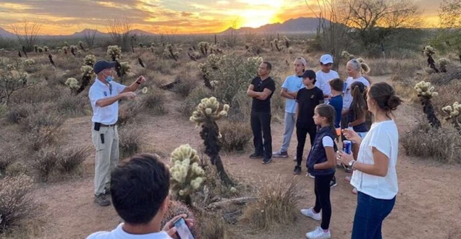 Scottsdale: McDowell Sonoran Preserve Hiking Tour - The Sum Up