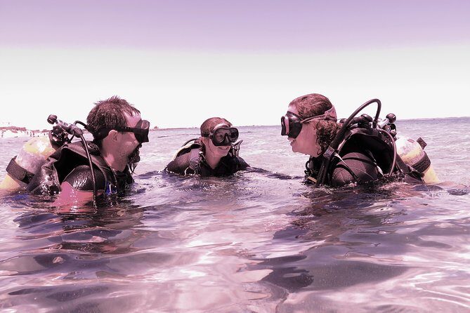 Scuba Dive The Beautiful Rottnest Island for Certified divers - A Closer Look at the Rottnest Island Scuba Tour