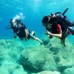 Scuba Diving Class in Mellieha - Who Would Enjoy This Tour?