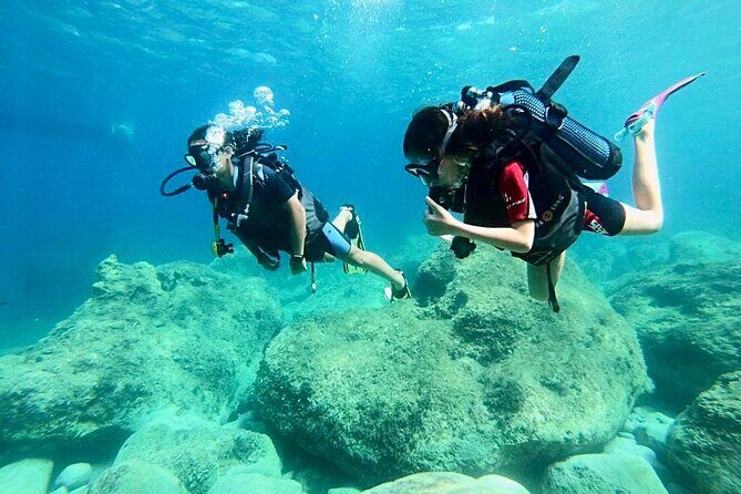 Scuba Diving Class in Mellieha - Who Would Enjoy This Tour?