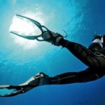 Scuba Diving Experience for Beginners in Ponta de São Lourenço - A Detailed Look at the Experience in Ponta de São Lourenço