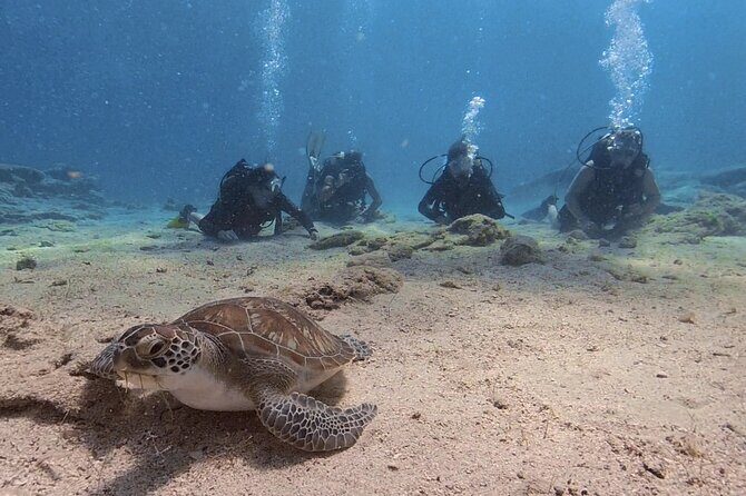 Scuba Diving Experience + Free Edited Video - FAQ