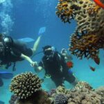 Scuba Diving Experience in Alanya With Lunch and 2 Dives - Practical Tips for Your Trip