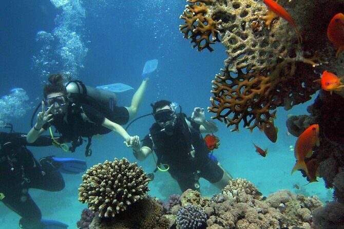 Scuba Diving Experience in Alanya With Lunch and 2 Dives - Practical Tips for Your Trip