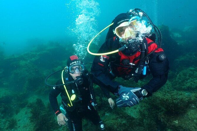 Scuba Diving Experience - Price, Value, and Practical Tips