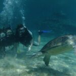SCUBA DIVING first time experience - Why This Tour Excels