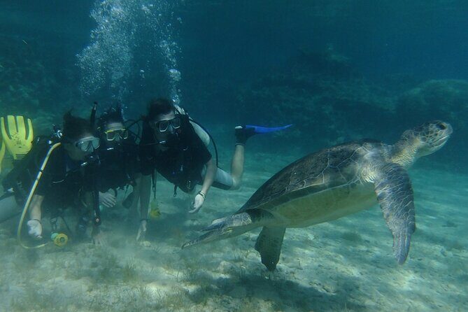 SCUBA DIVING first time experience - Why This Tour Excels