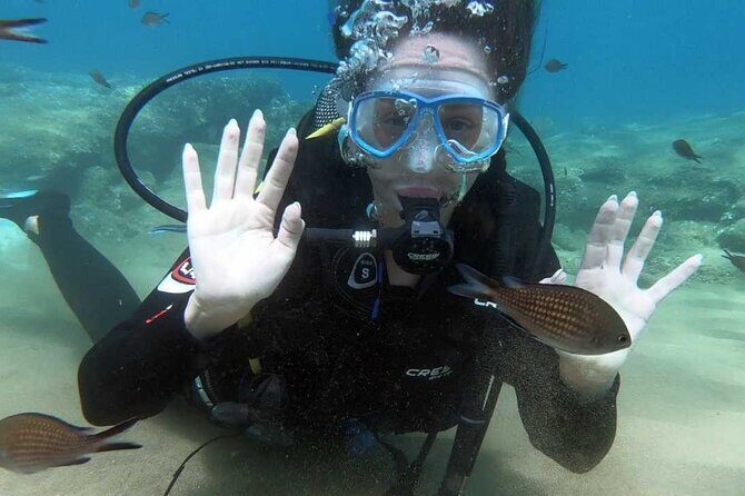 Scuba Diving for Beginners with a PADI Instructor near Heraklion - The Sum Up: Is This Tour Right for You?