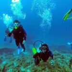 Scuba Diving from Bodrum - What to Expect on Your Underwater Journey