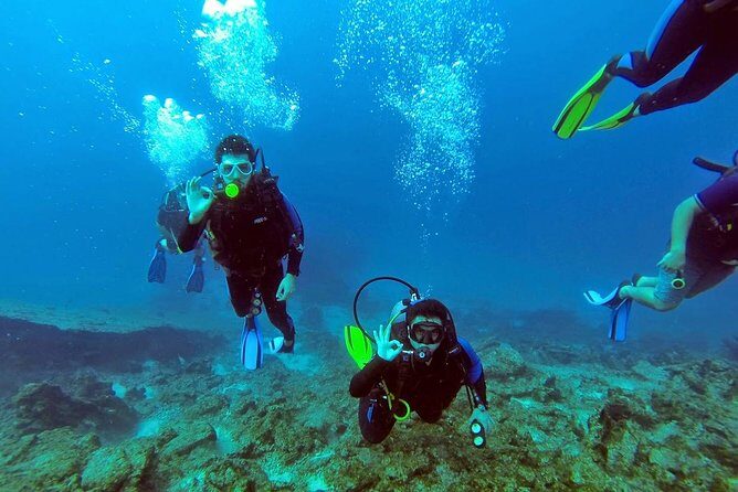 Scuba Diving from Bodrum - What to Expect on Your Underwater Journey
