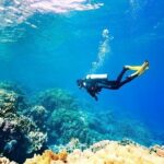 Scuba Diving in Alanya - Practical Considerations and Tips