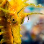 Scuba diving in Calabria, Italy - Why This Tour Is a Great Choice