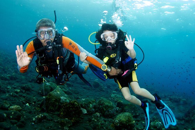 Scuba Diving Tour From Alanya - Side - Antalya - The Value Equation