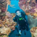 Scuba Diving Tour in Antalya with Lunch and Transfer - Discovering Antalya’s Marine Treasures with a Guided Scuba Tour