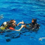 Scuba Diving Tour in Bodrum - Final Thoughts: Is It Worth It?