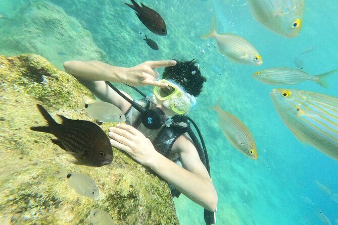Scuba Diving Tour With Lunch in Alanya - Who Will Enjoy This Tour?