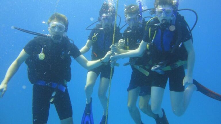 Scuba Diving Tour with Transfer From Alanya and city of Side - Who Will Love This Tour?