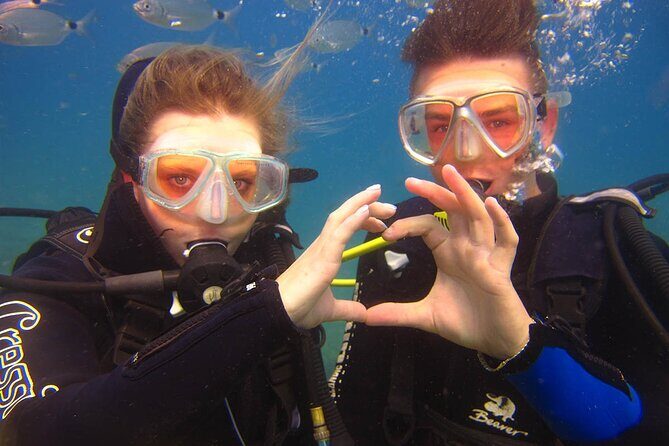 Scuba Diving Under Water Museum - A Deep Dive into the Experience: What to Expect