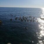Scuba Experience - Detailed Breakdown of the Itinerary and Experience