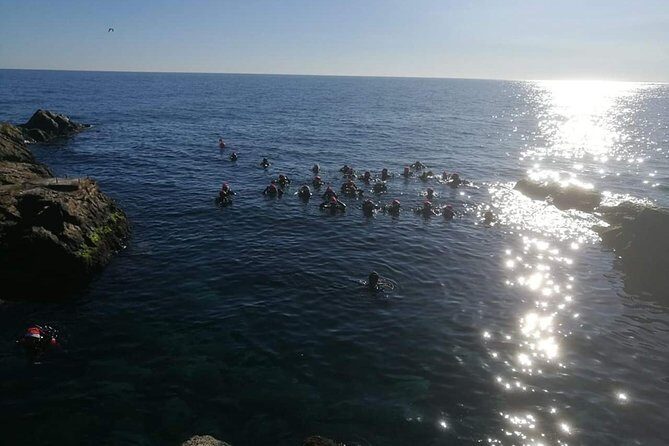Scuba Experience - Detailed Breakdown of the Itinerary and Experience